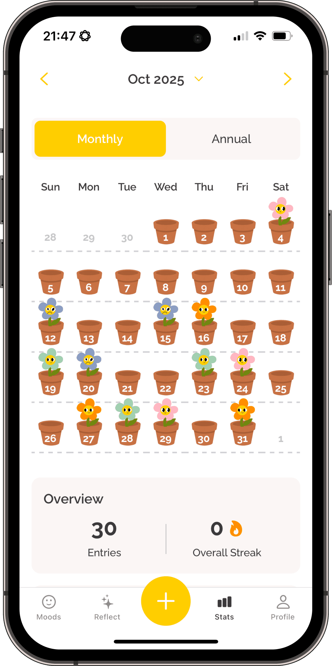 Soly statistics dashboard